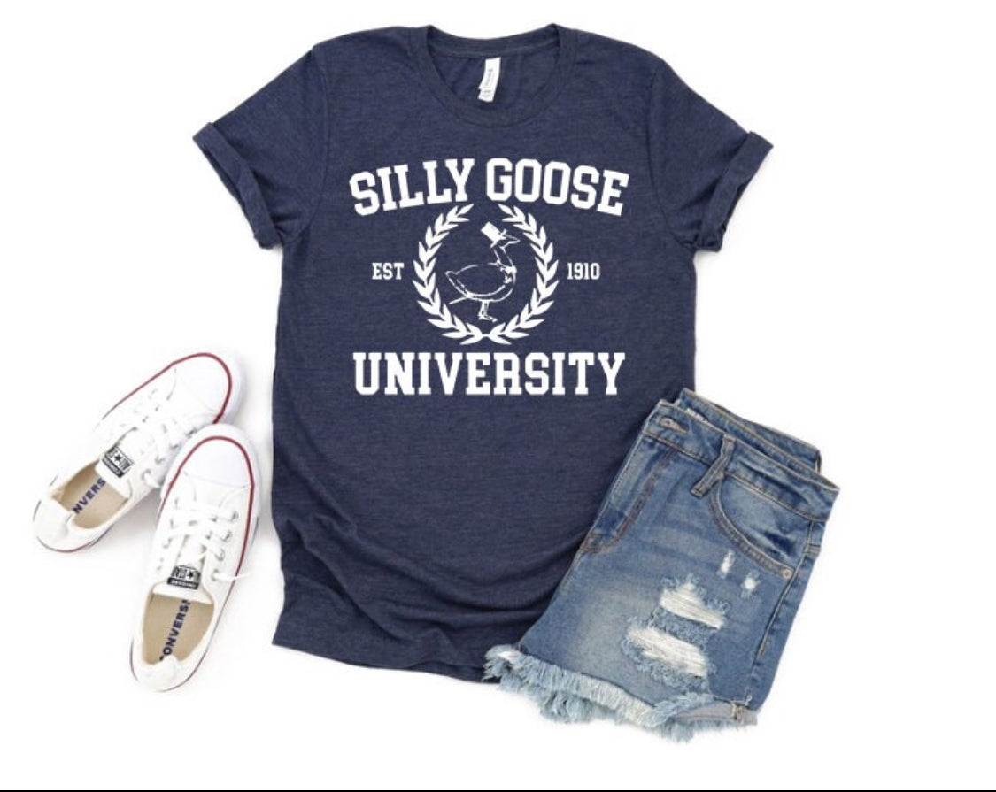 Silly Goose University